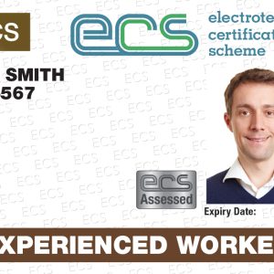 Experienced Worker (EWA) White with Brown Stripe