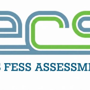 ECS FESS Assessment